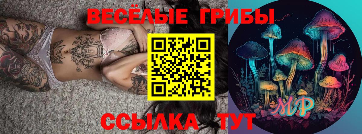 Псилоцибиновые грибы GOLDEN TEACHER  Заводоуковск 