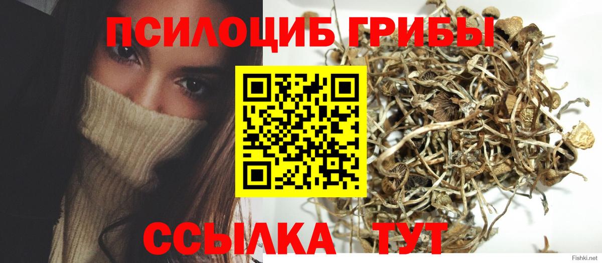 Заводоуковск  Галлюциногенные грибы GOLDEN TEACHER  Вход с VPN 
