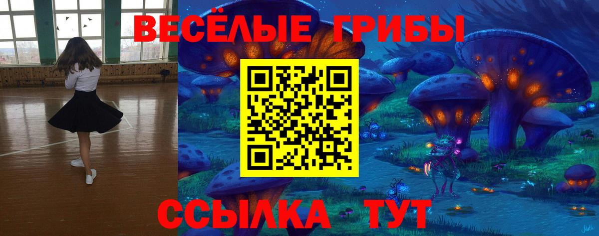 Галлюциногенные грибы Psilocybe Заводоуковск